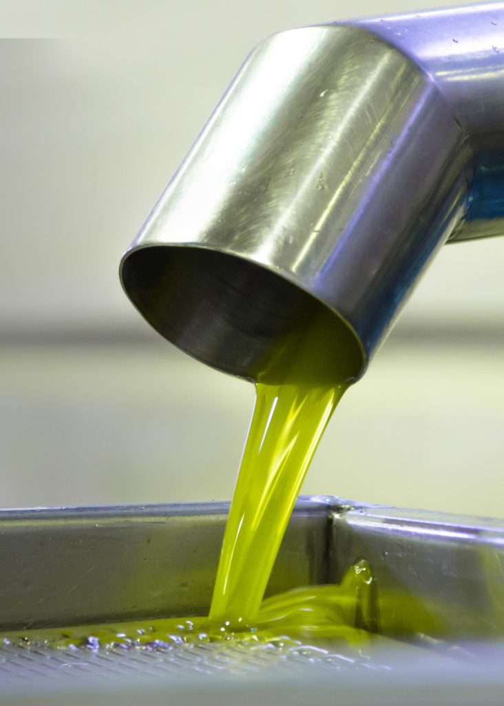 Improve olive oil production with PEF