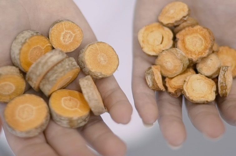 Dried PEF carrots versus untreated carrots