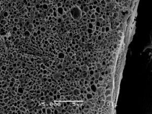 Pulsed Electric Field for vegetable processing